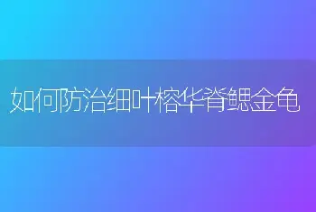 如何防治细叶榕华脊鳃金龟