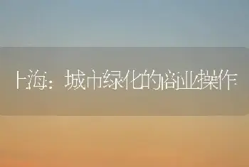 上海：城市绿化的商业操作