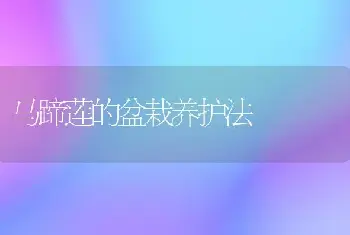 银杏幼苗巧呵护