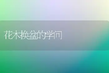 花木换盆的学问