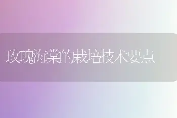 玫瑰海棠的栽培技术要点