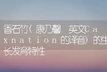 香石竹(康乃馨 英文Caxnation的译音)的生长发育特性