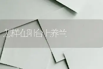 小麦返青施尿素吸收少