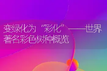 变绿化为“彩化”——世界著名彩色树种概览