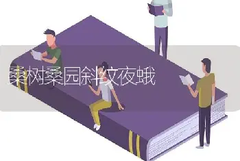 桑树桑园斜纹夜蛾