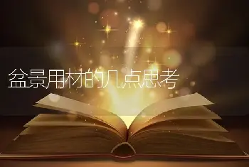 盆景用材的几点思考