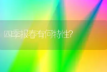 四季报春有何特性？