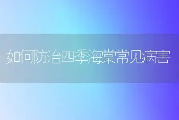 冬季君子兰栽培管理