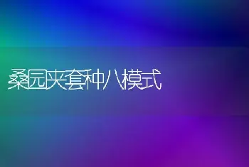 桑园夹套种八模式