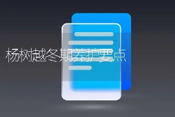 杨树越冬期养护要点