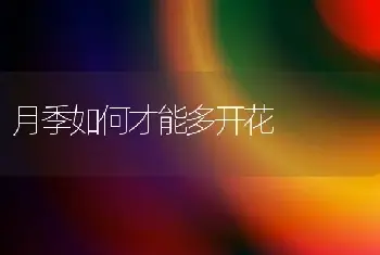 桃树采后管理四注意