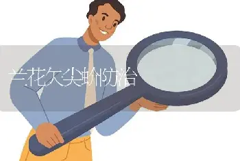 兰花矢尖蚧防治