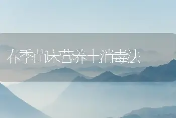 盆栽瓜叶菊的栽培与管理