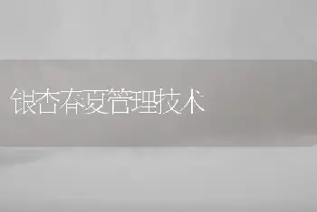 银杏春夏管理技术