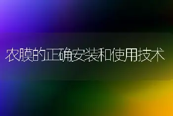 农膜的正确安装和使用技术