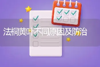 法桐黄叶不同原因及防治