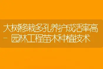 大树移栽多孔养护成活率高-园林工程苗木种植技术