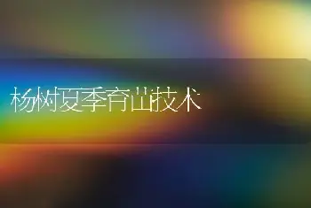 杨树夏季育苗技术