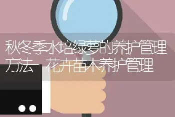 秋冬季水培绿萝的养护管理方法-花卉苗木养护管理