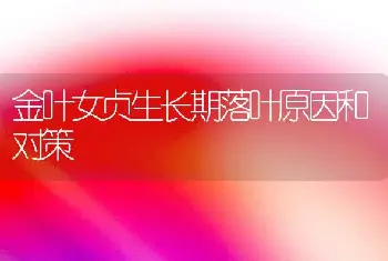 金叶女贞生长期落叶原因和对策