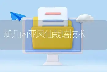 新几内亚凤仙栽培技术