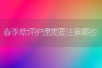 春季草坪护理需要注意哪些