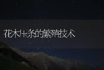 花木压条的繁殖技术