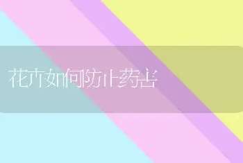 花卉如何防止药害