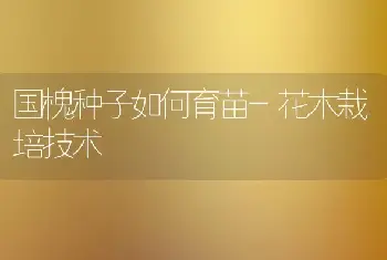 国槐种子如何育苗-花木栽培技术