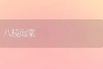 八棱海棠