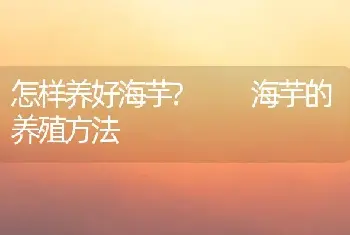 怎样养好海芋?  海芋的养殖方法