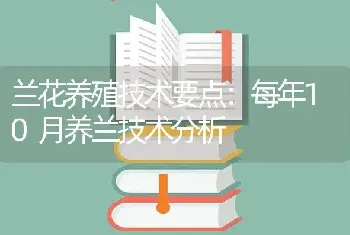 兰花养殖技术要点：每年10月养兰技术分析