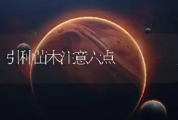 引种苗木注意六点