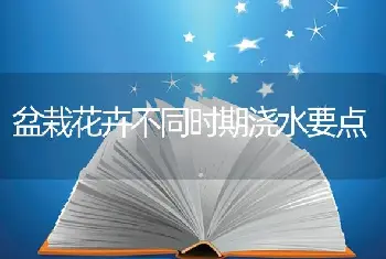 盆栽花卉不同时期浇水要点