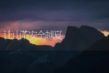 让山茶安全越夏