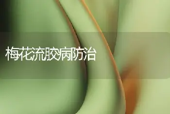 江南牡丹的露天栽培技术与管理 -花卉苗木养护管理