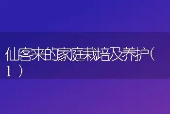 冬季盆花浇水需注意什么?