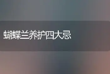 蝴蝶兰养护四大忌