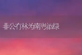 非公有林为南粤添绿