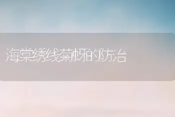 海棠绣线菊蚜的防治