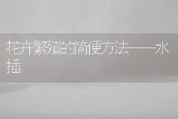 花卉繁殖的简便方法——水插