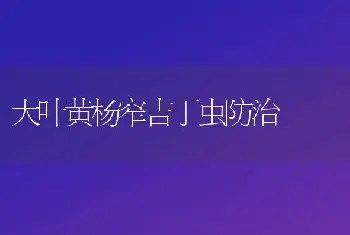 大叶黄杨窄吉丁虫防治