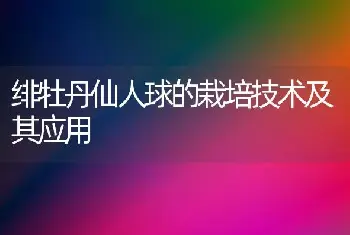 绯牡丹仙人球的栽培技术及其应用