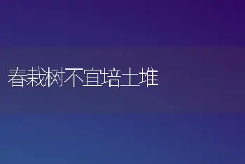 春栽树不宜培土堆