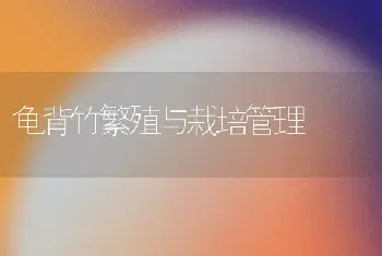 龟背竹繁殖与栽培管理