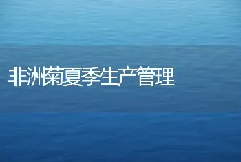 扦插海棠的注意事项