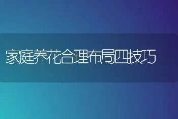 家庭养花合理布局四技巧