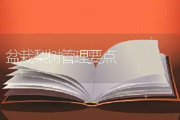 盆栽梨树管理要点