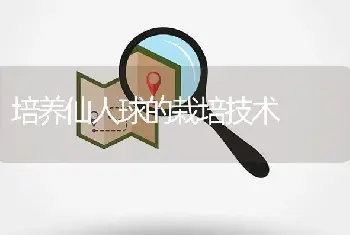 培养仙人球的栽培技术