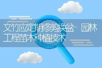 荔枝龙眼当前管理重点：杀冬梢